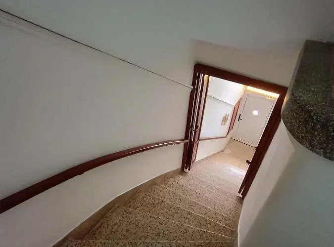 The Blackbird's Nest *