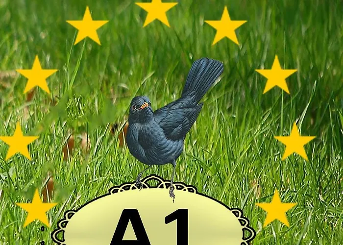 The Blackbird's Nest Διαμέρισμα *