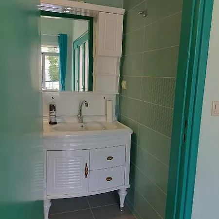 The Blackbird's Nest