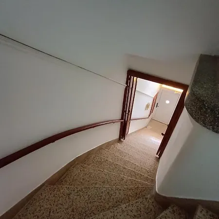 The Blackbird's Nest *