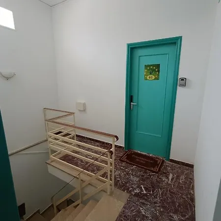 The Blackbird's Nest