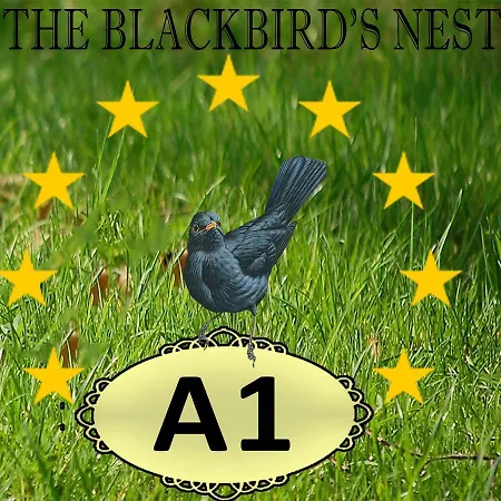The Blackbird's Nest Apartamento *